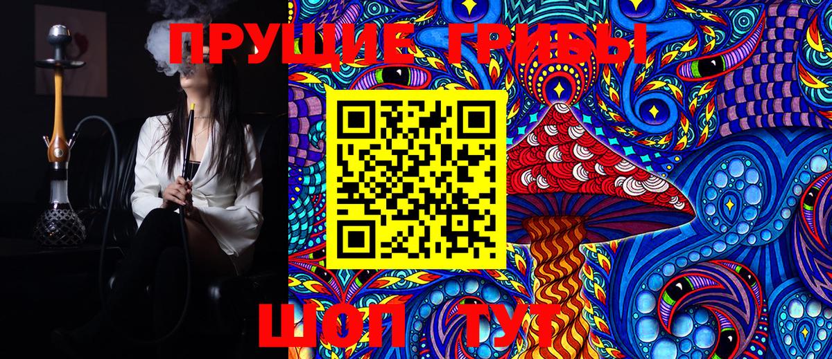 Галлюциногенные грибы Magic Shrooms Гай