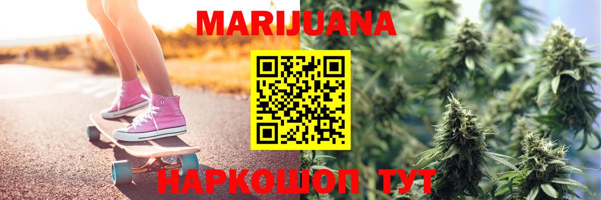 Бошки Шишки White Widow  Каннабис планчик  Вход с VPN  Гай 